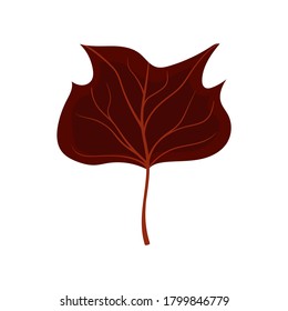 Beautiful colourful autumn leaf or fall foliage icon. Vector stock illustration isolated on white background. 