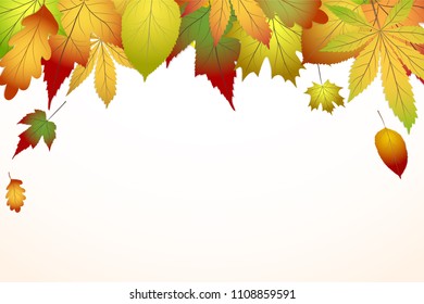 beautiful colourful autumn leaves, back to school stock vector illustration background, eps 10