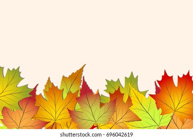 beautiful colourful autumn leaves, back to school stock vector illustration background