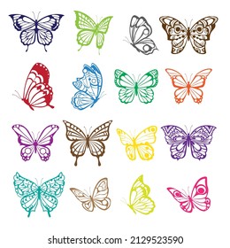 Beautiful colourful nature flying insect exotic butterflies with funny wings vector.