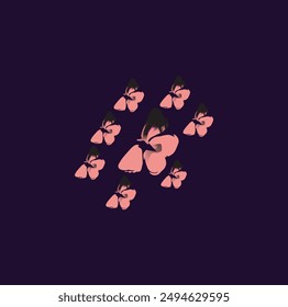 beautiful and colourfull Butterflies pink fly vector artwork graphic design illustration insect stylish art