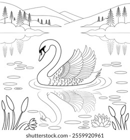 Beautiful colouring swan floating in the pond 