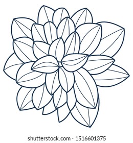 Beautiful composition of leaves, illustration in simple minimalist style. Natural outline vector icon or clip art. Tropical jungle plant. Monochrome isolated elegant feminine element for decoration