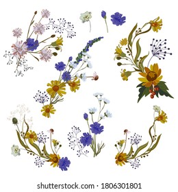 Beautiful compositions of wildflowers for creating cards on a white background