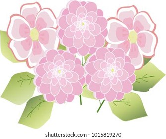 Beautiful concept of spring flowers on a green leaf