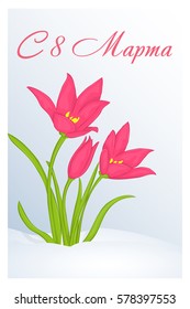 Beautiful congratulation or greeting card for women's day with Tulips. Russian translation: 8 March. Holiday greetings background in simple cartoon style. Vector illustration. Flower Collection.