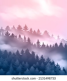 Beautiful coniferous forest with fog at sunset 