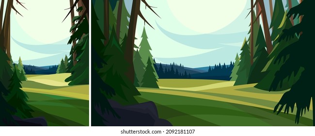 Beautiful coniferous forest. Nature landscape in different formats.