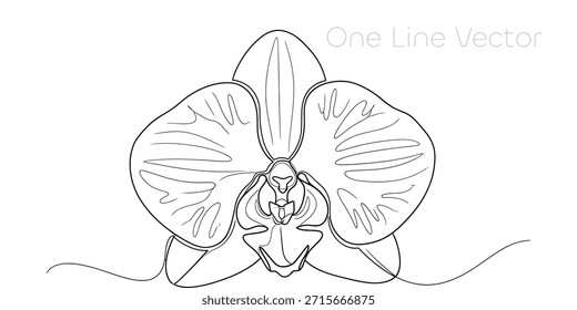 Hermoso dibujo de línea continua de una flor de orquídea sobre un fondo blanco limpio. Esta ilustración botánica minimalista captura la delicada belleza de la naturaleza. Perfecto para proyectos de diseño moderno. Ilustración vectorial