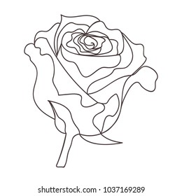 Beautiful continuous line flower design vector