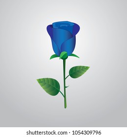 A beautiful cool blue rose with leaf and white background to express love and affection