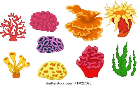 beautiful coral collection