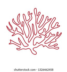 beautiful coral pattern illustration