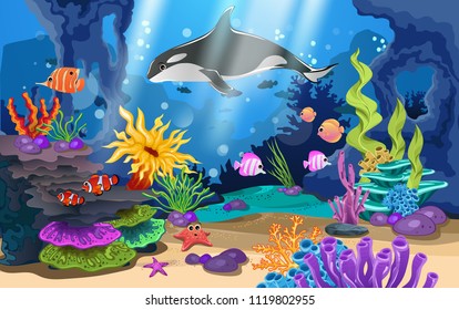 beautiful coral reefs and fish in the sea