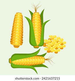 a beautiful corn vector design with green leaf