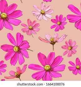 Beautiful cosmea flowers pattern. Vector flowers