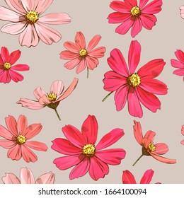 Hermoso patrón de flores de cosmea. Flores vectoriales