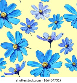 Beautiful cosmea flowers pattern. Vector flowers