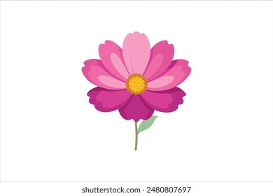 A beautiful cosmos flower vector artwork illustration.