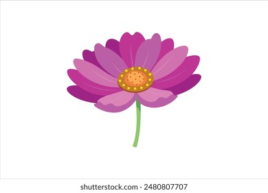 A beautiful cosmos flower vector artwork illustration.