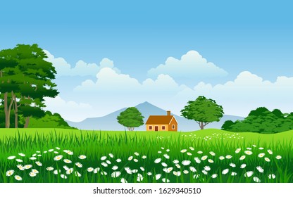 Beautiful countryside vector image with flower field and house