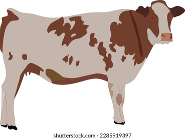 Hermosa ilustración vectorial de vaca este archivo está en eps