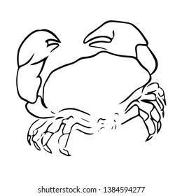 beautiful crab line vector illustration