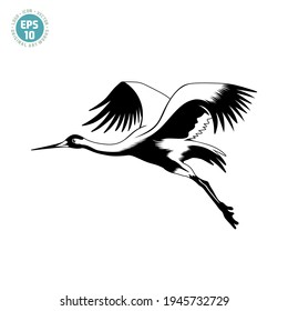 beautiful crane bird vector illustration