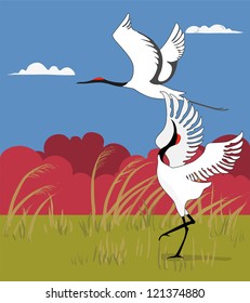 Beautiful cranes in spring.
