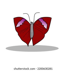 beautiful crimson butterfly vector illustration