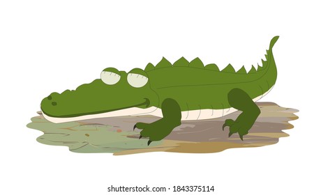 In a beautiful crocodile isolated background - illustration