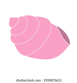 Beautiful curly seashell on an isolated background. Malyusk in the sink. Marine life in the sea and akean life. Vector illustration. Marine element for decoration.