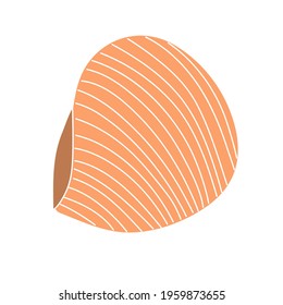 Beautiful curly seashell on an isolated background. Malyusk in the sink. Marine life in the sea and akean life. Vector illustration. Marine element for decoration.