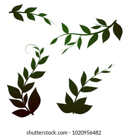 Beautiful curved branches with leaves on a white background, vector elements for design.