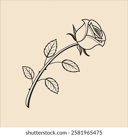 A beautiful Custom Rose Vector Design