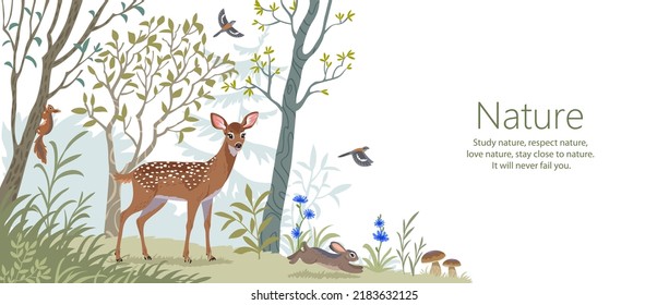 Hermosos y lindos animales caminando por el bosque. Ilustración vectorial para su asombroso diseño