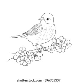 Beautiful and cute bird sit on a flowering branch.  Vector black and white illustration. Hand-drawn contour lines.Vintage design element wildlife