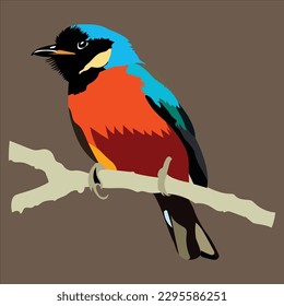 A beautiful and cute Bird's picture in colorful drawing