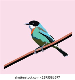 A beautiful and cute Bird's picture in colorful drawing