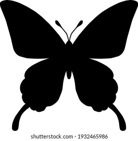 Beautiful and cute butterfly illustration