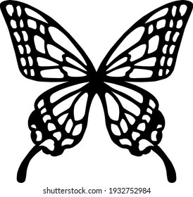 Beautiful and cute butterfly illustration