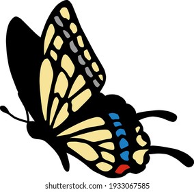 Beautiful and cute butterfly illustration