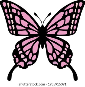 Beautiful and cute butterfly illustration