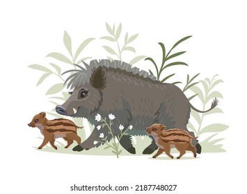 Beautiful and cute cartoon boar with piglets on white background. Children's vector illustration