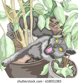  Beautiful cute gray cat resting in a flower pot
