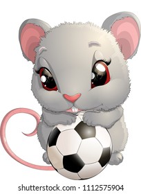 beautiful cute mouse