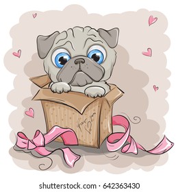 Beautiful & cute puppy pug dog gift box
