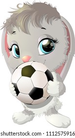beautiful cute rabbit