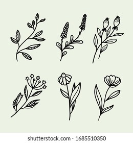 Hermoso, lindo conjunto de flores dibujadas a mano y ramas vectoriales