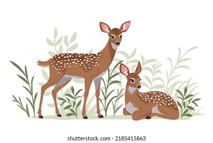 Beautiful and cute spotted deers on white background. Vector illustration